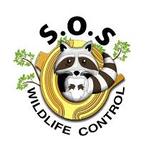SOS Wildlife Control, Toronto