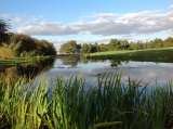 The Lake - 9th Hole, Broke Hill Golf Club, Halstead