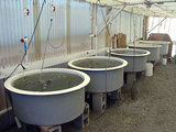  D&T Fiberglass, Inc. 8900 Osage Ave. 
