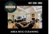 Barrington Oriental Rug Pros, Barrington