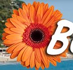  Profile Photos of BlumenRiviera Ossannastrasse 7 - Photo 2 of 2