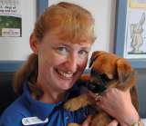 The Mewes Veterinary Clinic, Haywards Heath