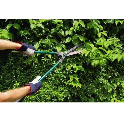  Profile Photos of GLC Property Maintenance Services 3151 W Highland Road - Photo 2 of 4