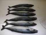 Atlantic Mackerel WR, CTLE Seafood, Inc., Brampton