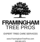 Framingham Tree Pros, Framingham