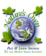  Nature's Own Chimney Cleaning 11207 Switchgrass Ln 