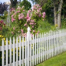  Profile Photos of Crown Rental Fence 2820 Bells Rd - Photo 2 of 4