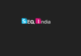 SEO India Company, Mayur Vihar Phase â€“ 3