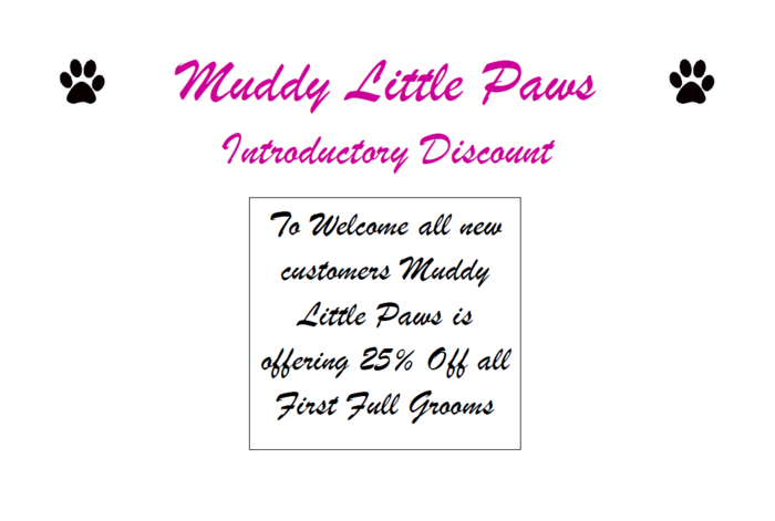  New Album of Muddy Little Paws - Professional Qualified Groomer 39 Valley Rise - Photo 1 of 1