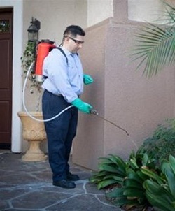  Profile Photos of Pest Control Escondido 306-N West El Norte Pkwy. #338A - Photo 4 of 4