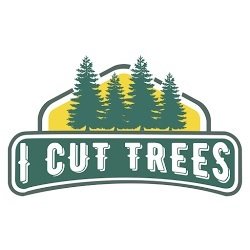  New Album of I Cut Trees 19 Stonegate Cres S.E - Photo 1 of 4