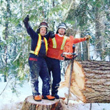 I Cut Trees, Medicine Hat