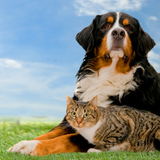  Pet City Pet Shops 750 Citadel Dr E, #2092 