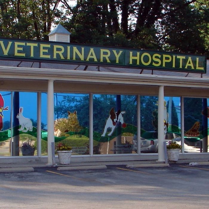  Profile Photos of Veterinary Associates Stonefield 203 Moser Rd - Photo 1 of 1