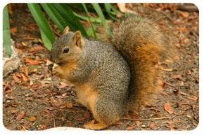  Profile Photos of Pest Pro Canada Pest Control Services 6 Warner Avenue, North York - Photo 2 of 4