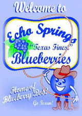  Echo Springs Blueberry Farm 7235 Farm to Market 607 North 