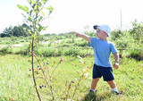  Echo Springs Blueberry Farm 7235 Farm to Market 607 North 