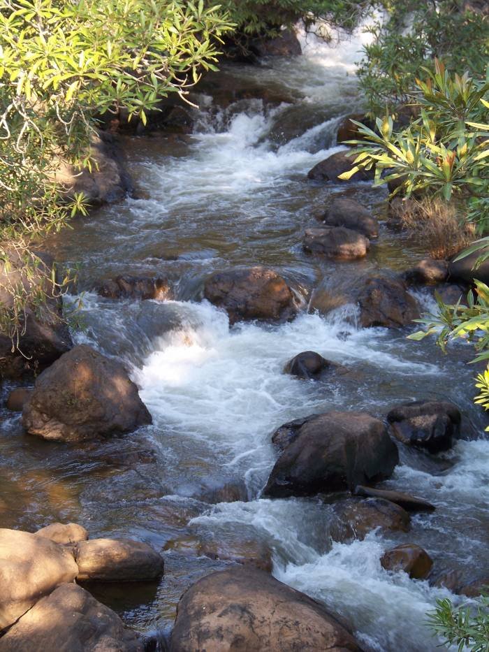  Profile Photos of Riverwild Weltevrede Road, Sudwala - Photo 3 of 9