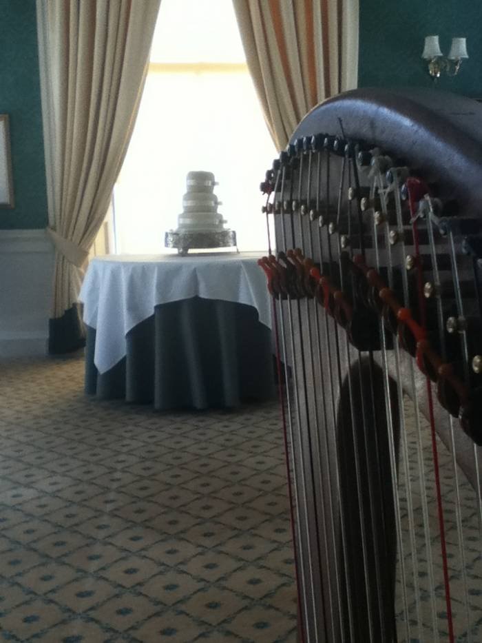  Mary Garrad Harp - Weddings of Mary Garrad - Clarsach Player Scone - Photo 6 of 10