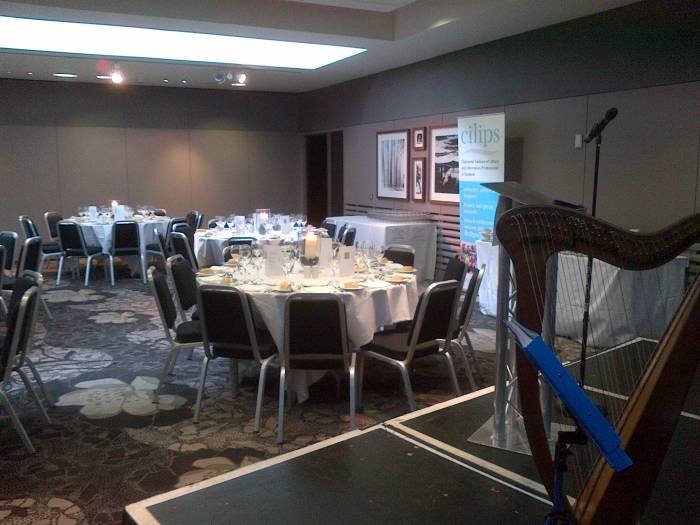  Corporate / Hospitality events of Mary Garrad - Clarsach Player Scone - Photo 1 of 3