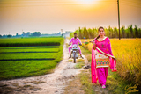  CandidShutters F5, 5, GF Vatika India Next, Sector 82, 
