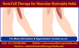 Stem Cell Transplant Centres in India, New Delhi