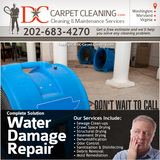 , DC Carpet Cleaning, Washington