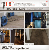, DC Carpet Cleaning, Washington