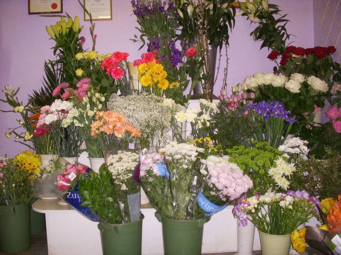 Flower Stand Profile Photos of Petals Galore 102, Bromley Road - Photo 2 of 3