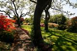 Virginia Lawn & Landscape Services LLC, Charlottesville