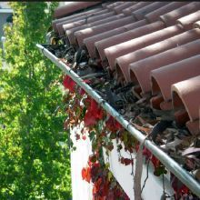 Profile Photos of Grade A Gutters LLC 25736 208th Ln - Photo 1 of 3