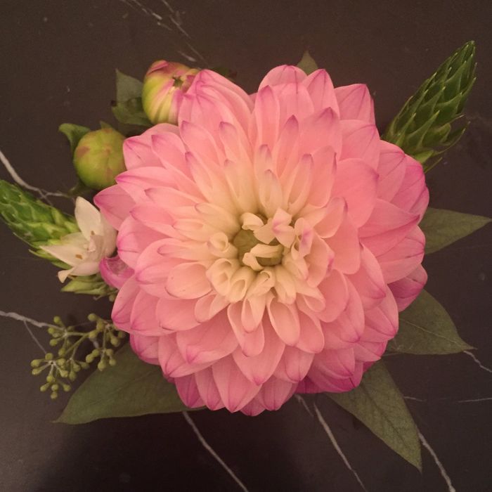  New Album of The Orchid: Luxury Flower Design 755 Mid Cities Blvd #600 - Photo 2 of 4