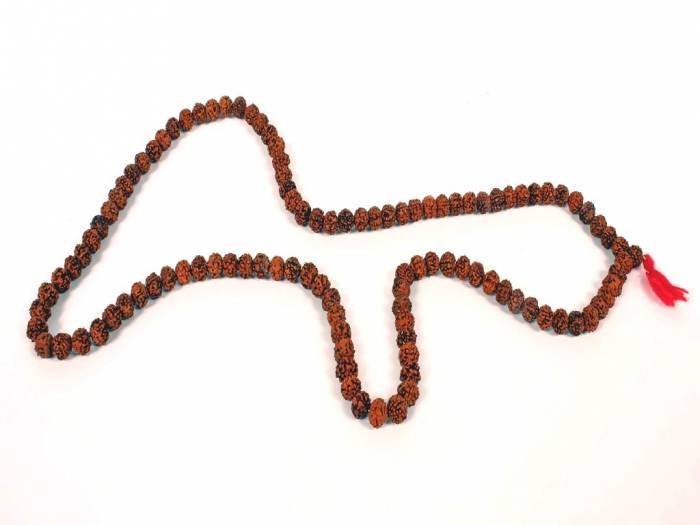 Rudraksh Prayer Beads Talismans of PowerFortunes.com H.B. Colony - Photo 23 of 108