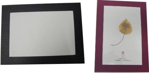  Profile Photos of Leeyeh co ltd., No.2,Alley 7,Lane 138,Charg An St, - Photo 9 of 9