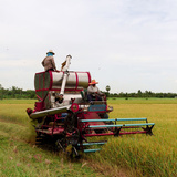 Sunbelt Products, Hernando