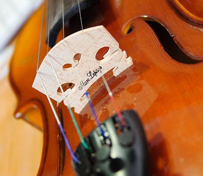  Profile Photos of Stable Yard Music Hatfield House - Photo 14 of 14