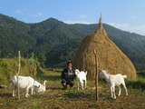            Beautiful picture                    , Annapurna Base Camp Trek, Kathmandu