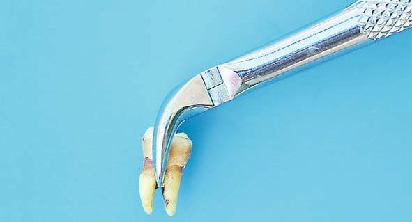  Profile Photos of Amica Surgical Rang Pura - Photo 14 of 68