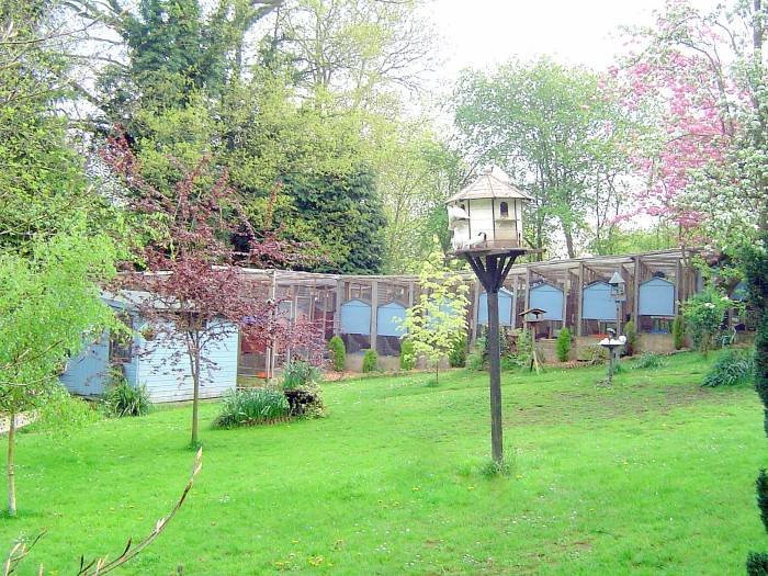                                 Profile Photos of Cudham Cattery Berrys Hill, Berrys Green - Photo 1 of 1