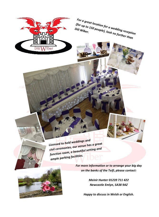  Pricelists of Clwb Rygbi Castell Newydd Emlyn - Newcastle Emlyn RFC Adpar - Photo 1 of 1