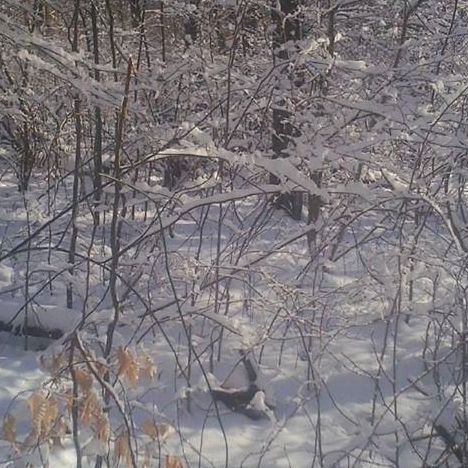  Profile Photos of Muskingum Valley Woodland Services 766 Linden Ave #C - Photo 1 of 1