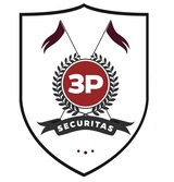 3P Securitas LLP, New Delhi