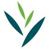 Dubai Herbal And Treatment Centre, Dubai Herbal And Treatment Centre, ZaÃ¡beel