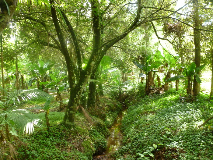 The beautiful gardens at Pousada Serra Verde Pousada Serra Verde of Pousada Serra Verde 8 Gilbert Scott Road - Photo 5 of 5