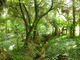 The beautiful gardens at Pousada Serra Verde, Pousada Serra Verde, Buckingham