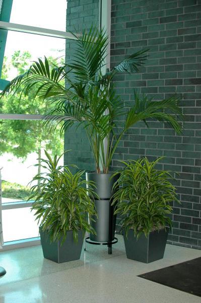  Profile Photos of Plantz 6202 Eugene St - Photo 6 of 6