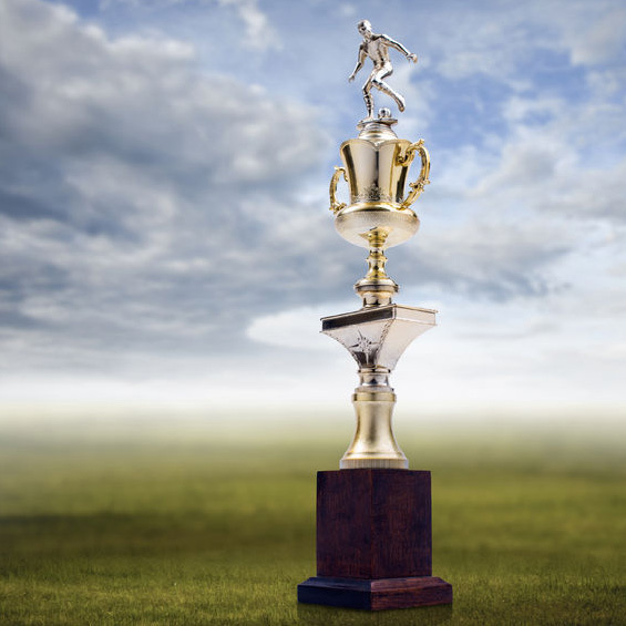  New Album of Bovey Trophies 1503 W 34th Ave - Photo 3 of 3