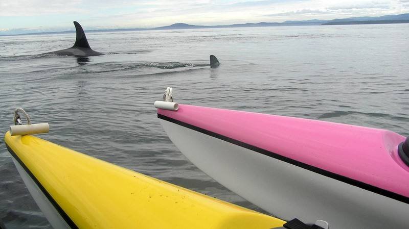  Pricelists of San Juan Kayak Expeditions 85 Front Street - Photo 5 of 8