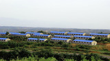  All Roof Tiles- Roofing Tiles and Sheets Manufacturer 217-4, ChengNan Road 