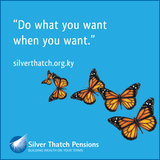  Silver Thatch Pensions 14 Saxon Centre, 14 Saturn Close, Eastern Avenue 